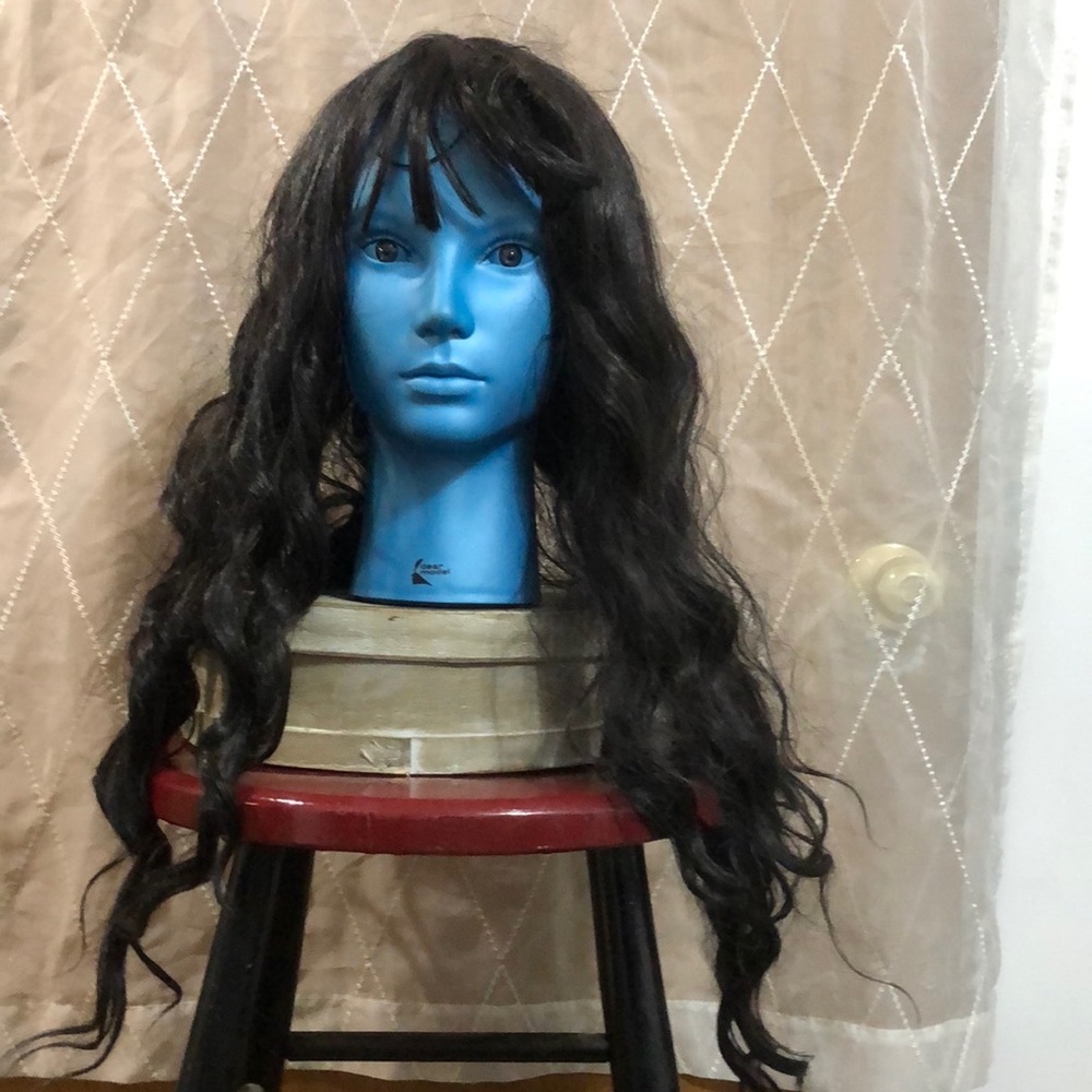 NWT Tailor For Gorgeous You long wavy wig.